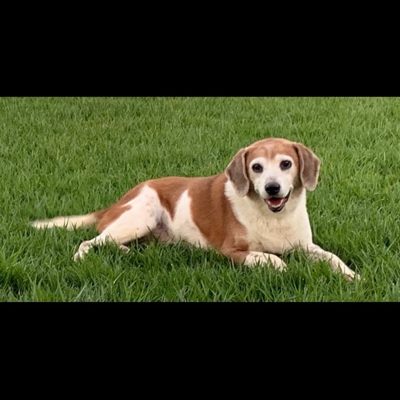 Meet your Posher, Carrie - Picture 1 of 1